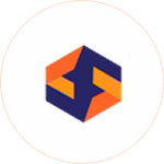 Professional shopify website developer